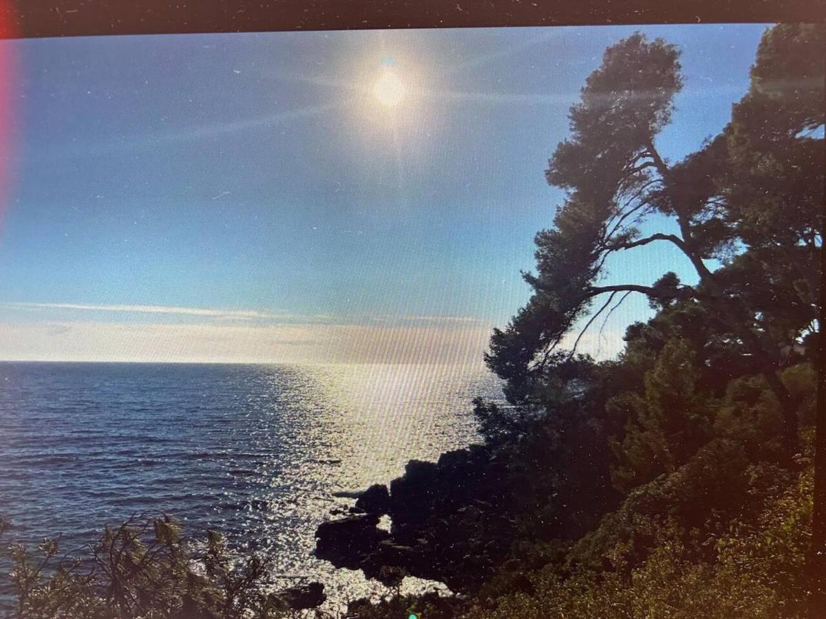 Pin Rollan Beach Saint-Mandrier-sur-Mer Eksteriør billede